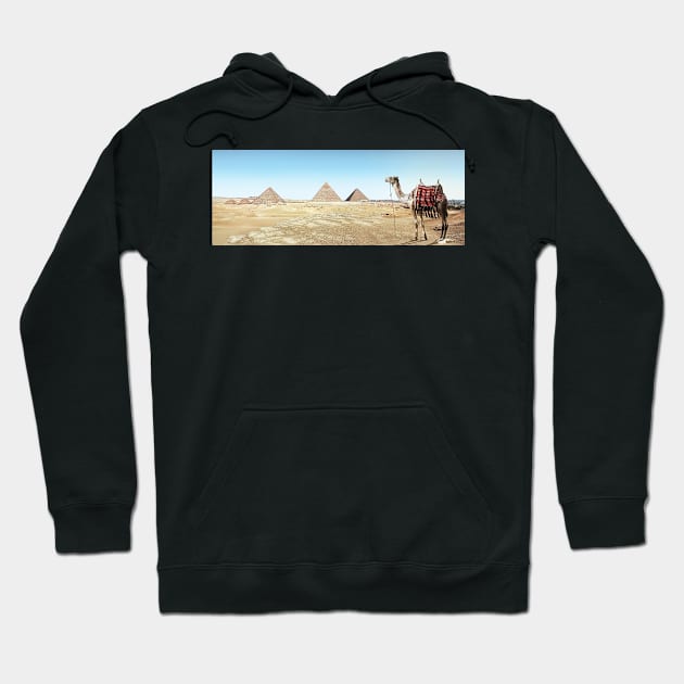 Camel and Pyramid Hoodie by kawaii_shop